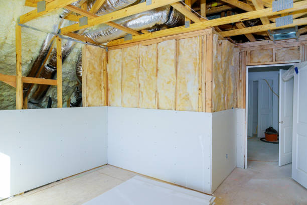Attic Insulation Near Me in Homer, IL