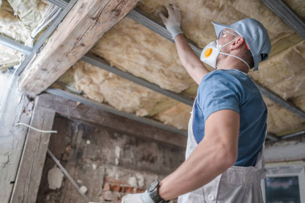 Best Crawl Space Insulation  in Homer, IL