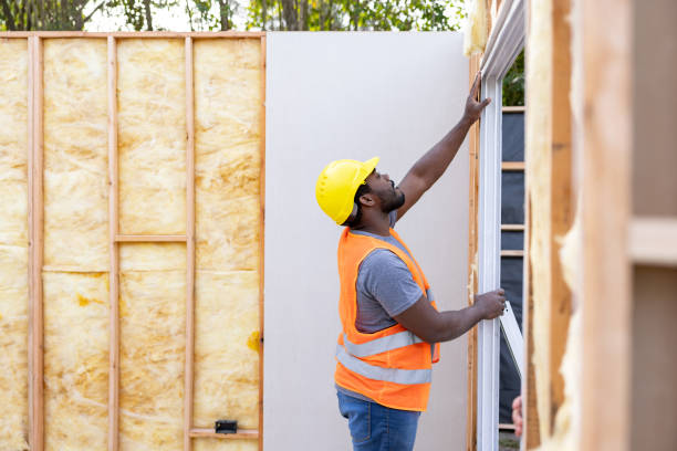 Insulation Replacement Services in Homer, IL