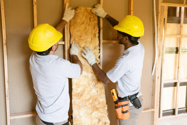 Best Fiberglass Insulation  in Homer, IL