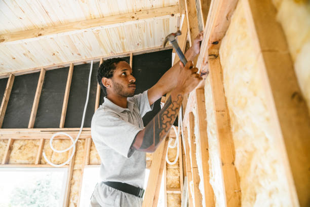 Best Wall Insulation Contractor  in Homer, IL