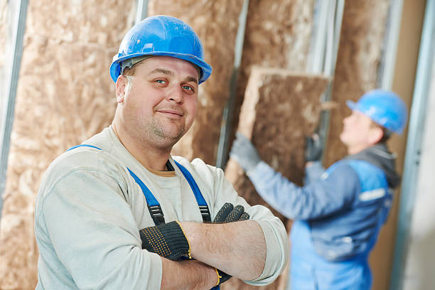 Best Attic Insulation Installation  in Homer, IL