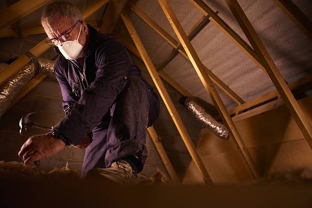 Best Insulation for New Construction  in Homer, IL