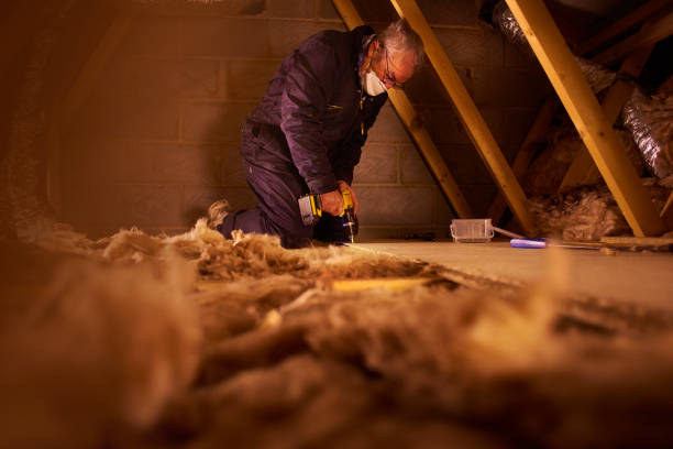 Best Insulation Removal  in Homer, IL